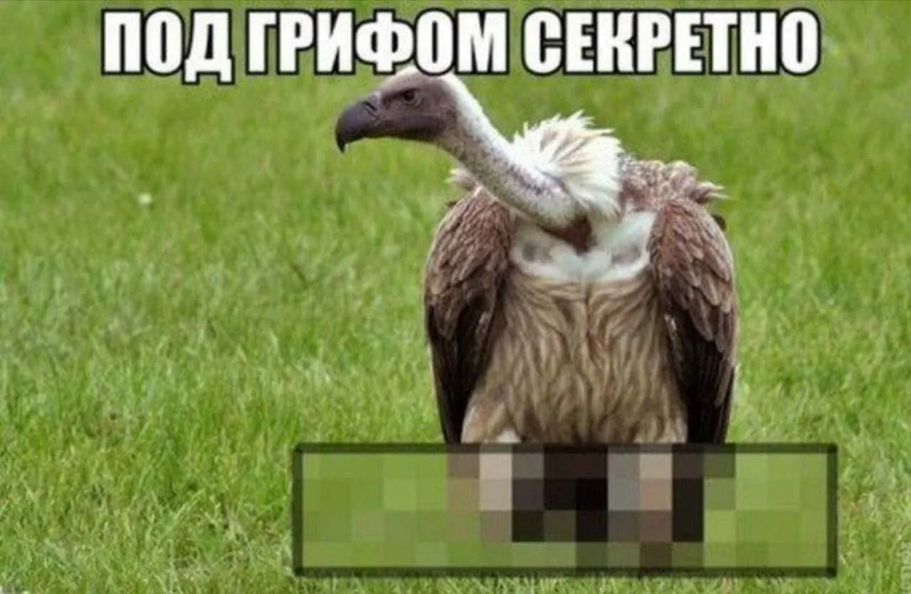 Подпишись на Приколиста