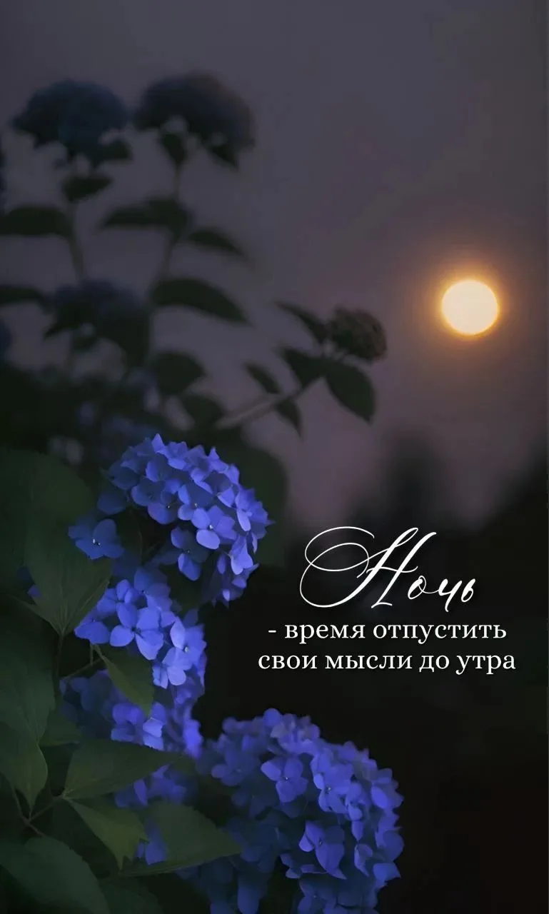 Подпишись✅ что бы не потерять нас