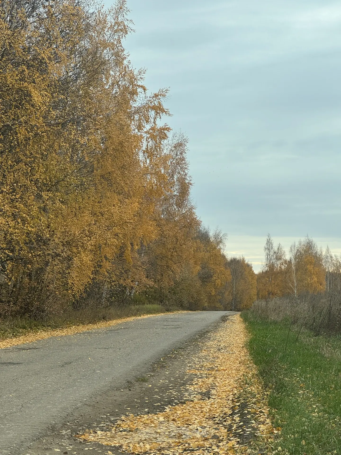 ☀️ Доброе утро! Пусть всё задуманное получится!