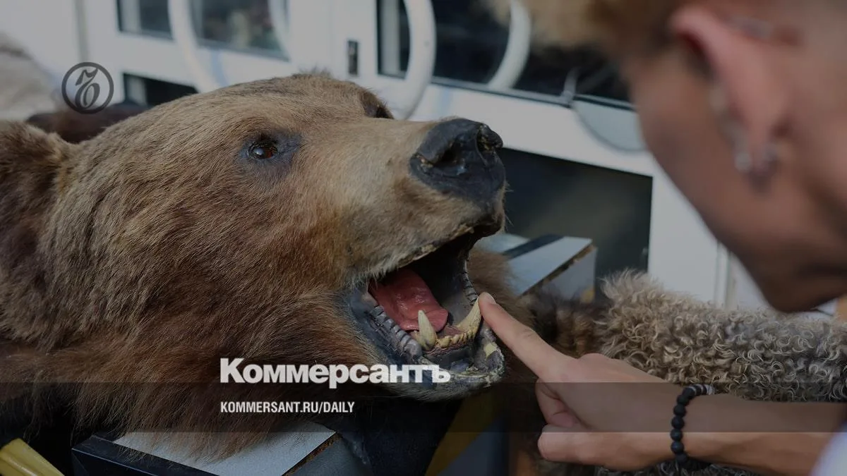 🌍 За медведей еще поборются // Зоозащитники вступили в бой с охотниками и чиновниками