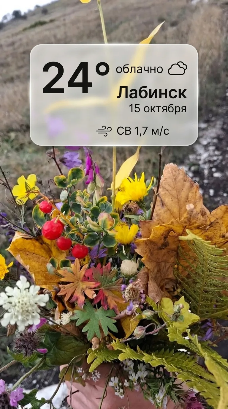 🌞  четверг - это маленькая пятница!  Наслаждайтесь каждым моментом и не забудьте улыбн...
