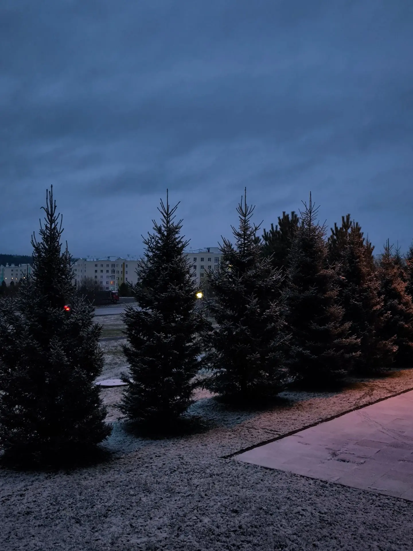 ❄️Первый снег. Красота — в моменте!