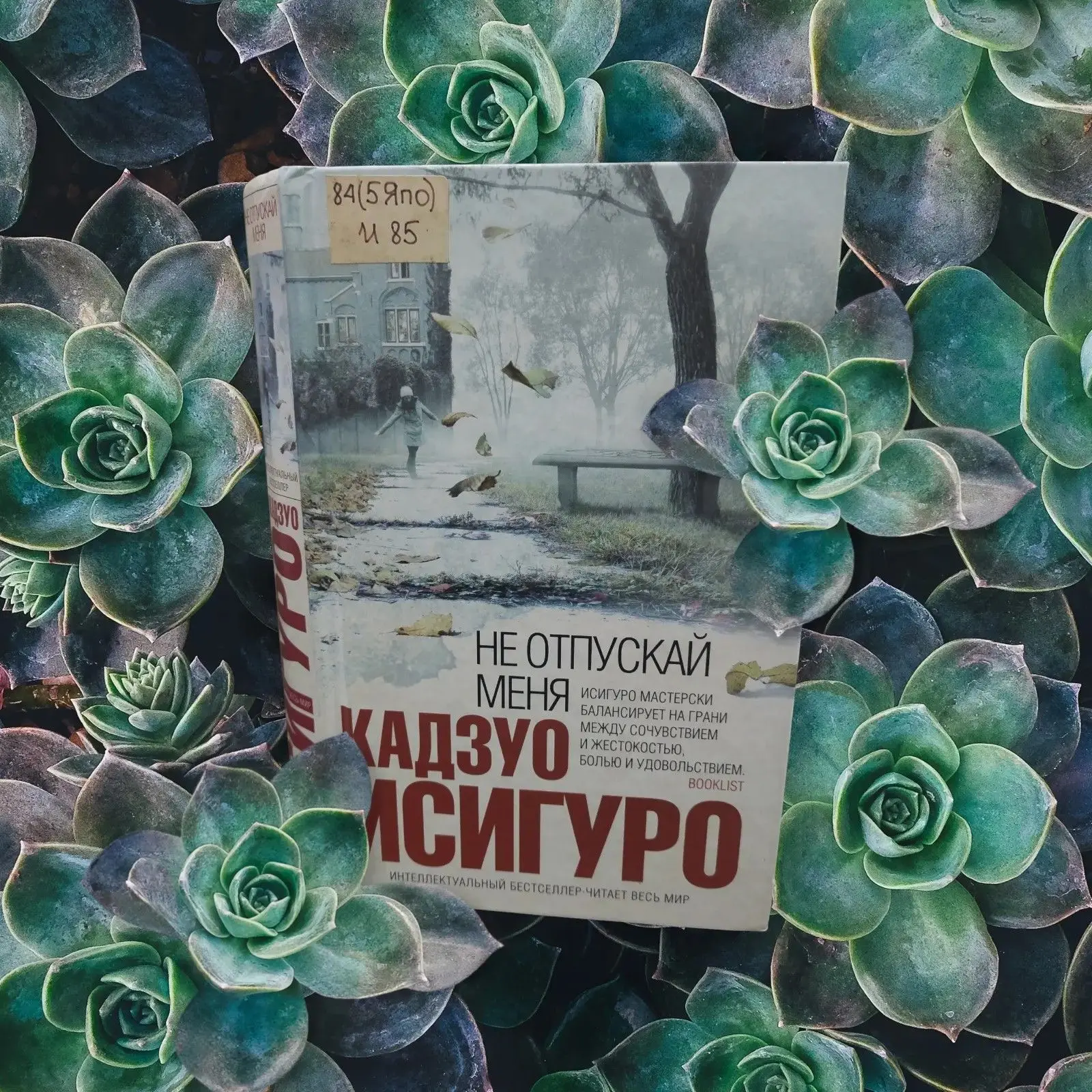 Дождливая осень — лучшее время, чтобы уединиться с книгой. ☕️📖📖 Кадзуо Исигуро — «Не ...