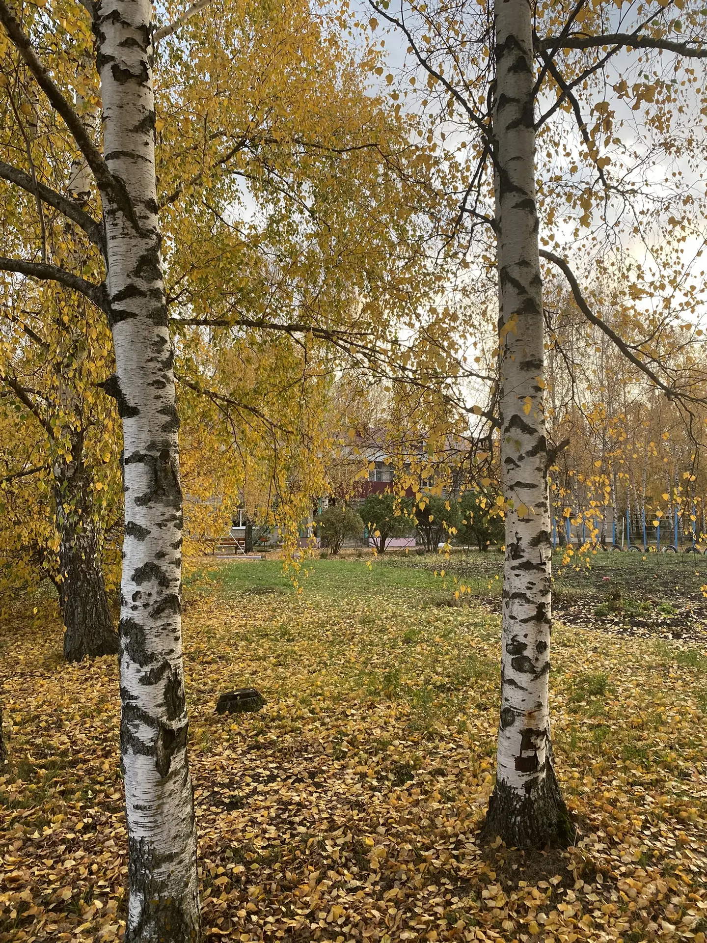 🥨🍂