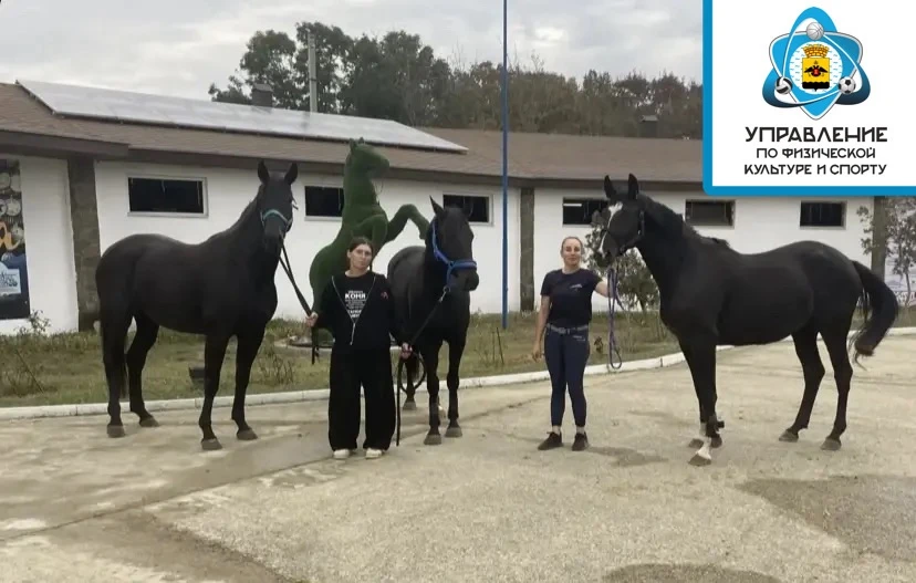 🏇Три новые лошади пополнили конный состав спортивной школы «Пегас»