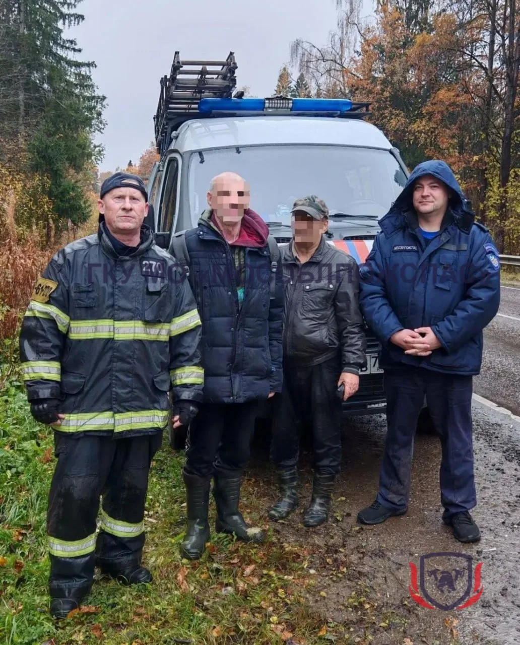 👀 Два грибника провели ночь в холодном лесу под Дмитровом