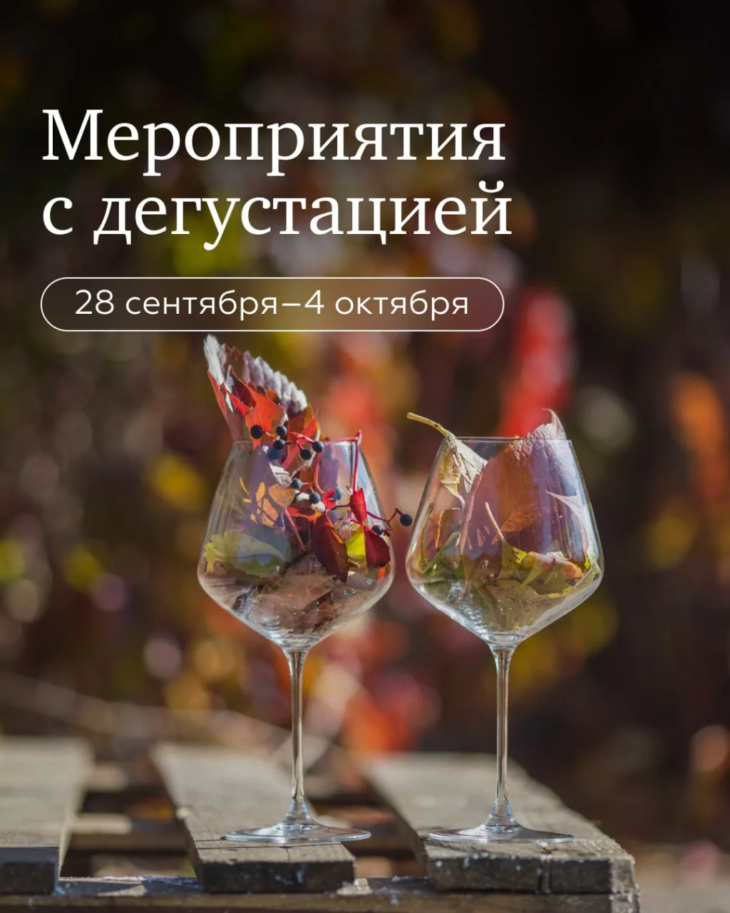 Пино нуар называют королем красных и главным испытанием для винодела. На грядущих выход...