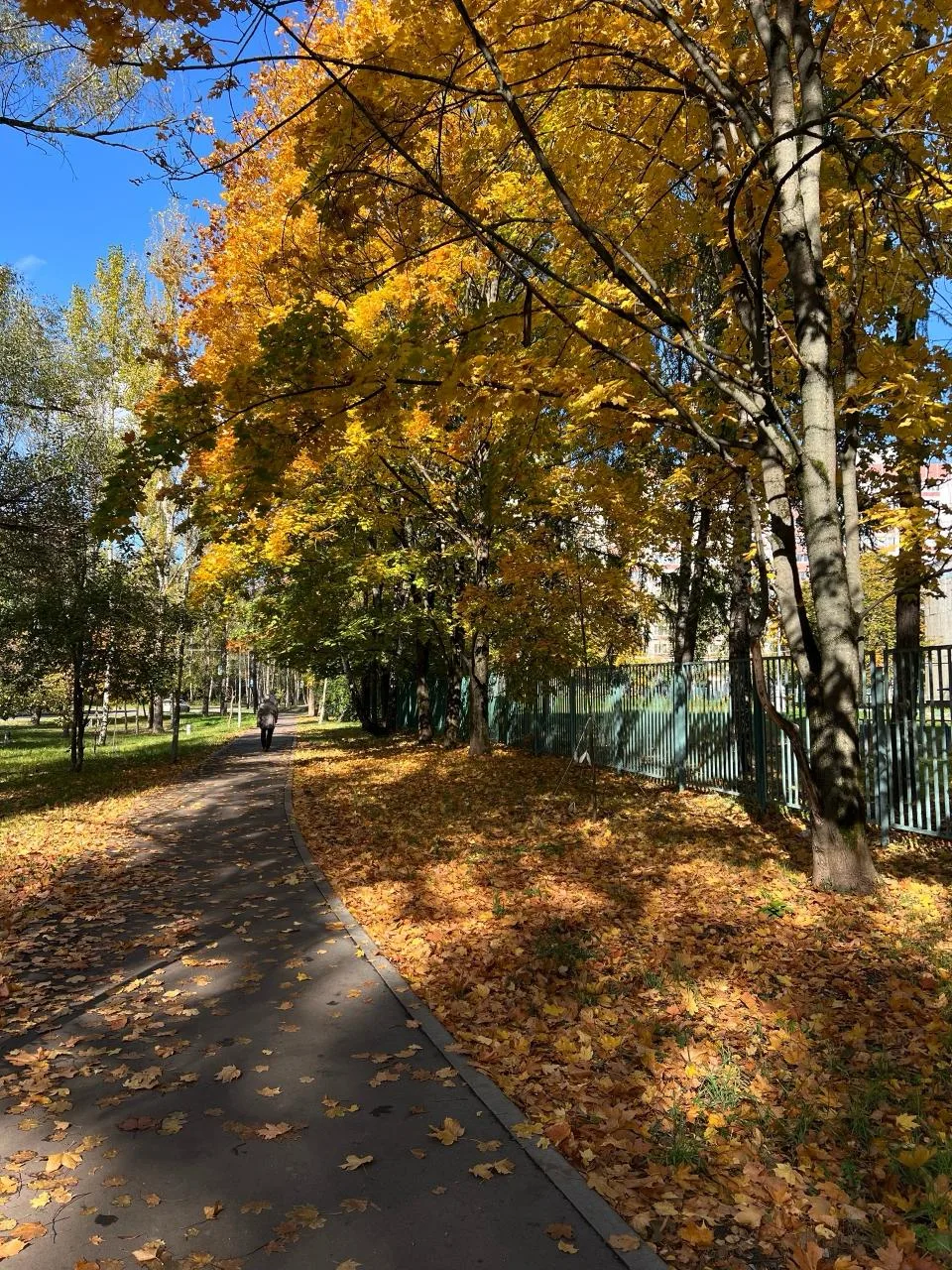 Осенние кадры района 🍂