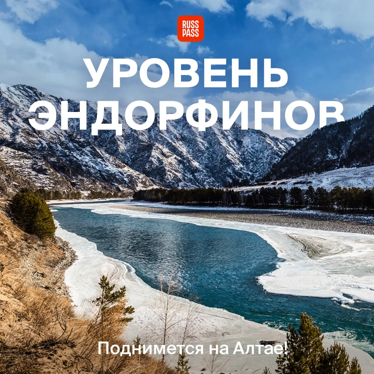 📈 Исследования показали: зимой Горный Алтай повышает уровень эндорфинов на 100%, потом...