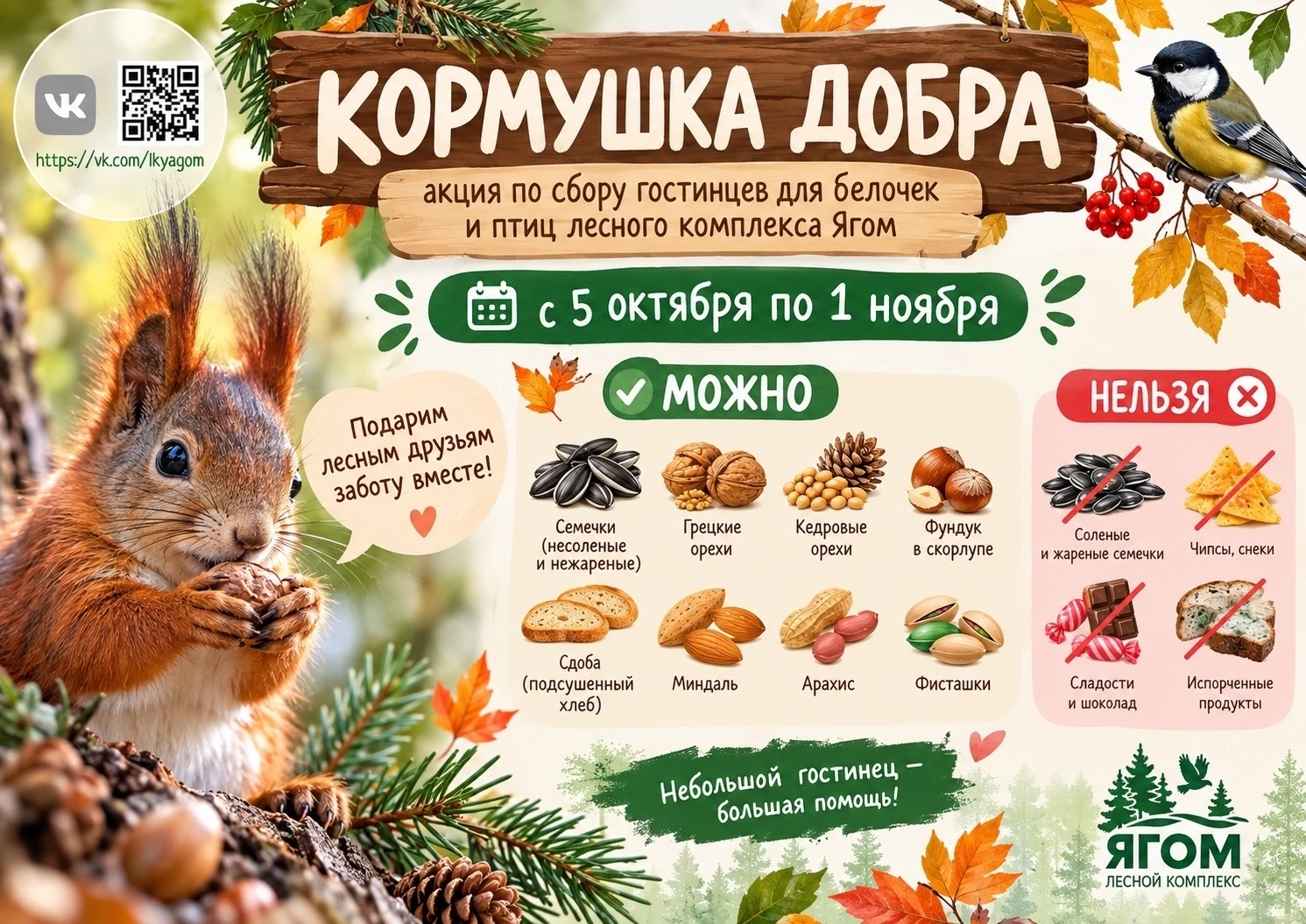 🎉 «Кормушка добра»: делаем мир чуточку добрее! 🎉