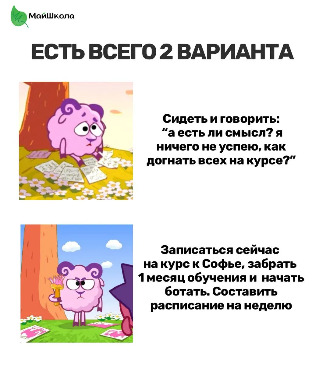 Софья Игоревна, хочу записаться к вам на курс, но успею ли я догнать ребят? Не хочу быт...