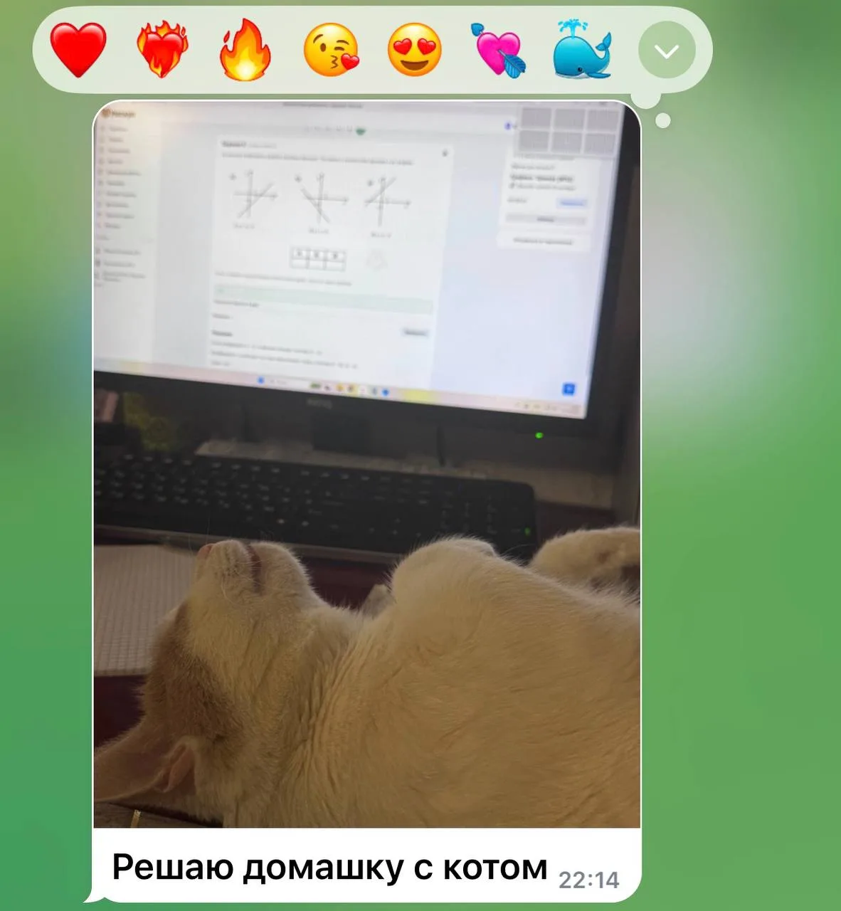а вы как??