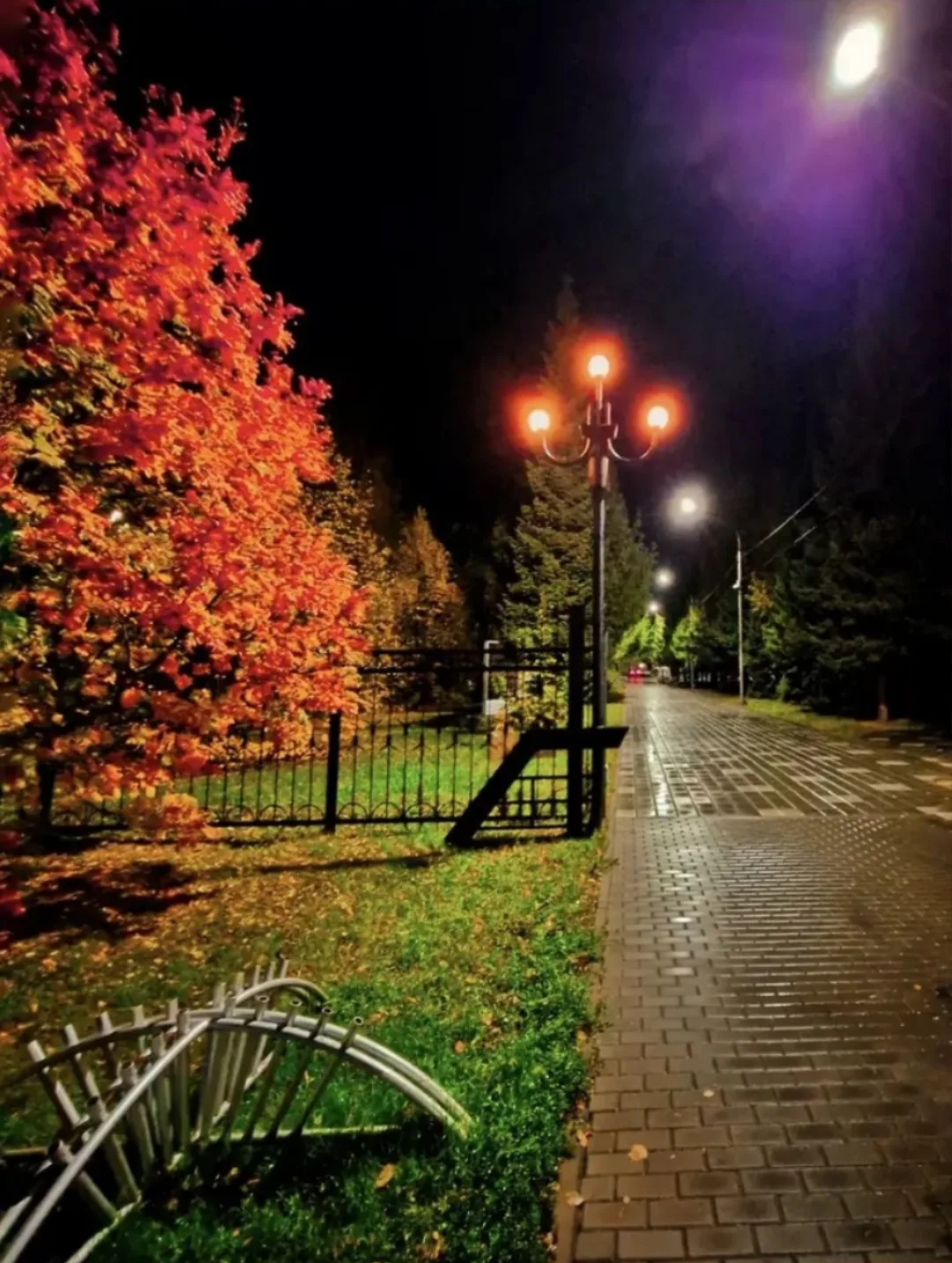 Доброй ночи, Рубцовск 😴🌛