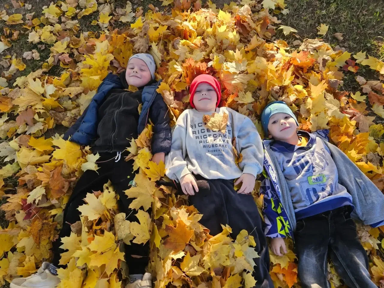 Осенняя прогулка в детском саду 🍂 🍁 🍃
