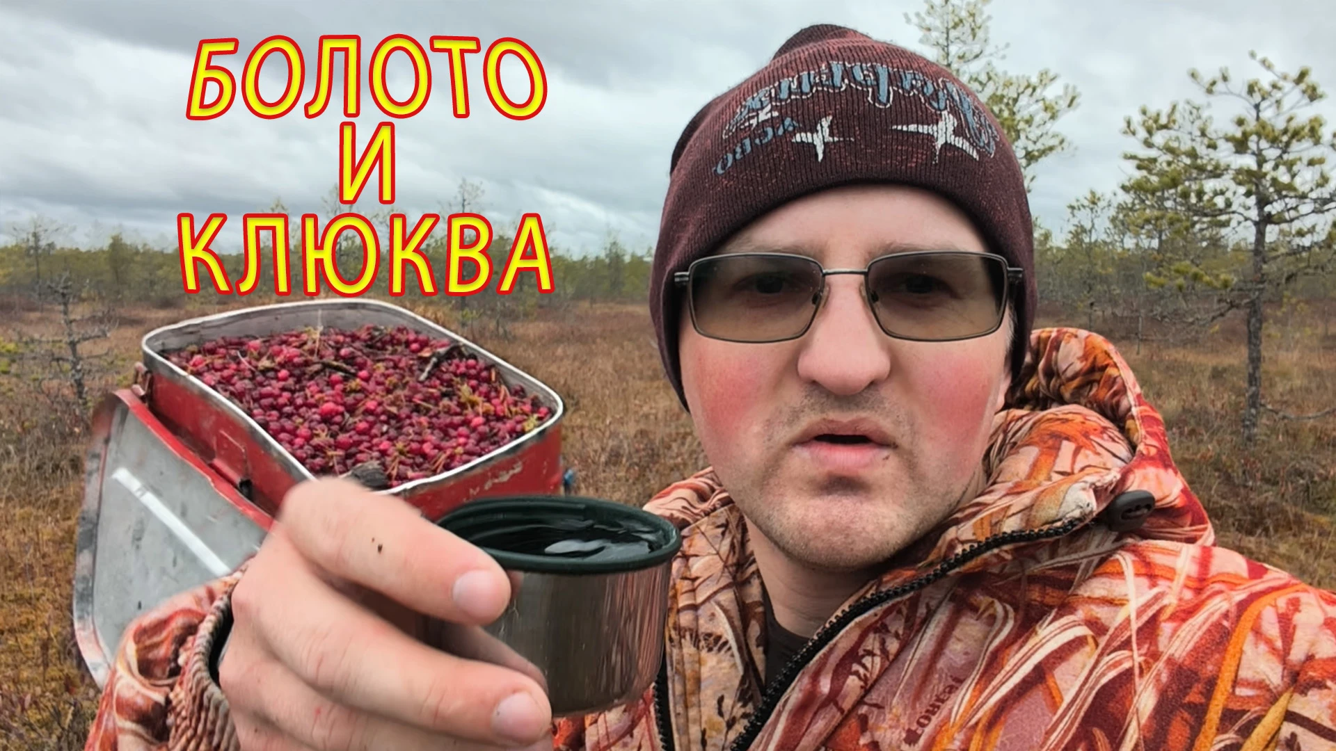 День на болоте: клюква, тишина и момент, когда всё замерло от звука лося. А как у вас в...