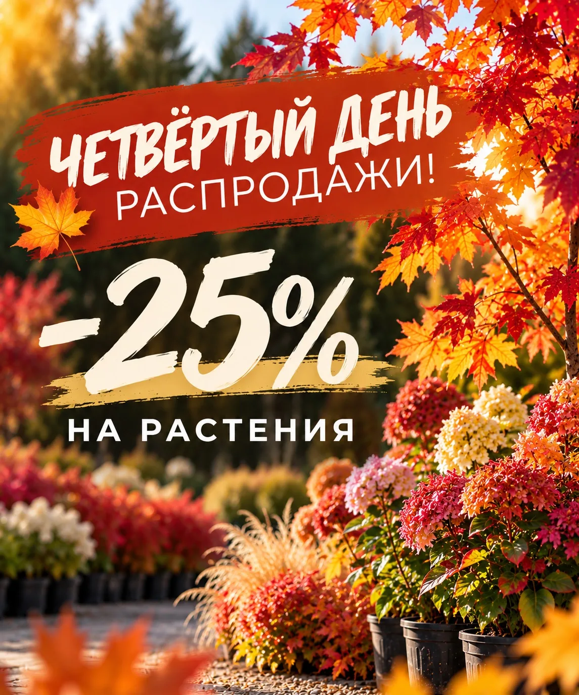 🍁 ЧЕТВЁРТЫЙ ДЕНЬ БОЛЬШОЙ РАСПРОДАЖИ GARDENS!