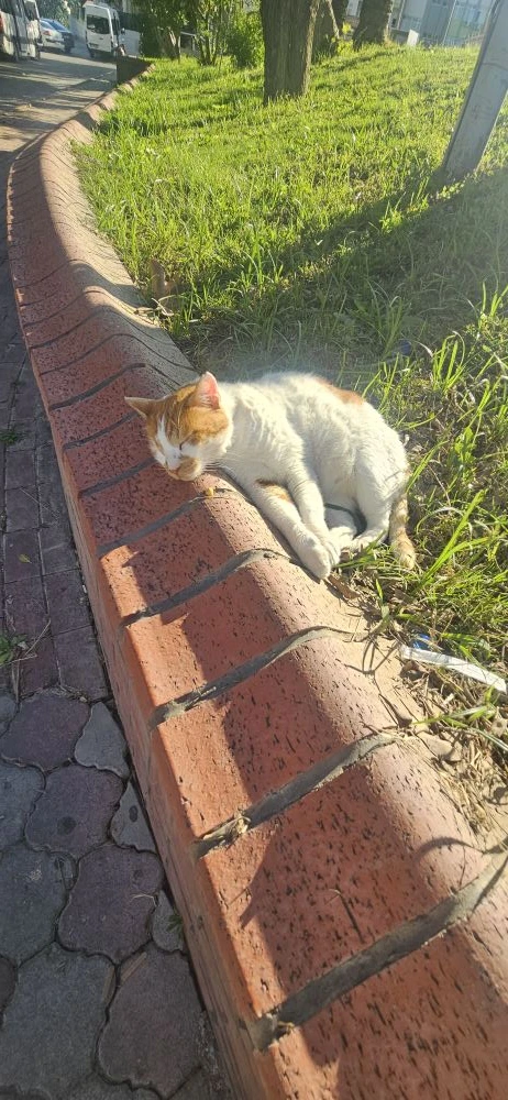 Центр Кемера❤️