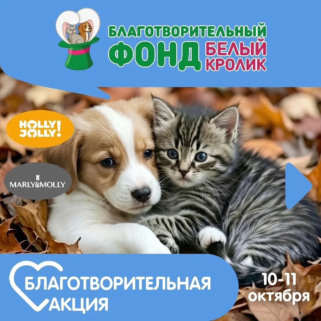 Друзья, объявляем Добрые выходные! 🥰