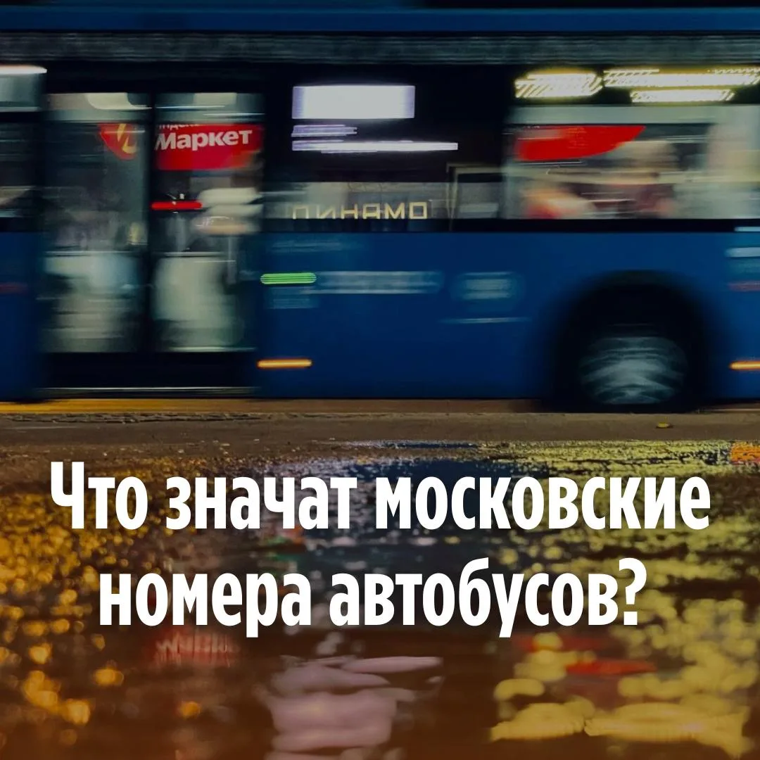 🚌💡 О чём нам говорят номера автобусов? Оказывается, теперь присваивают их не рандомно...
