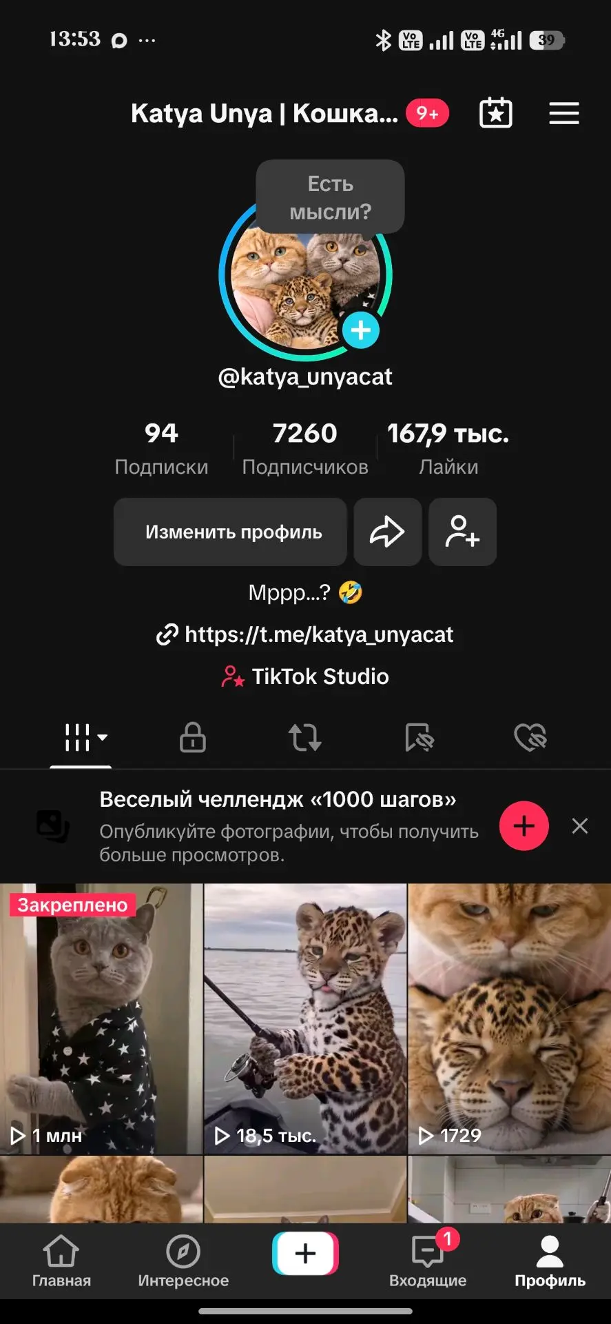 Кото-армия! ❤