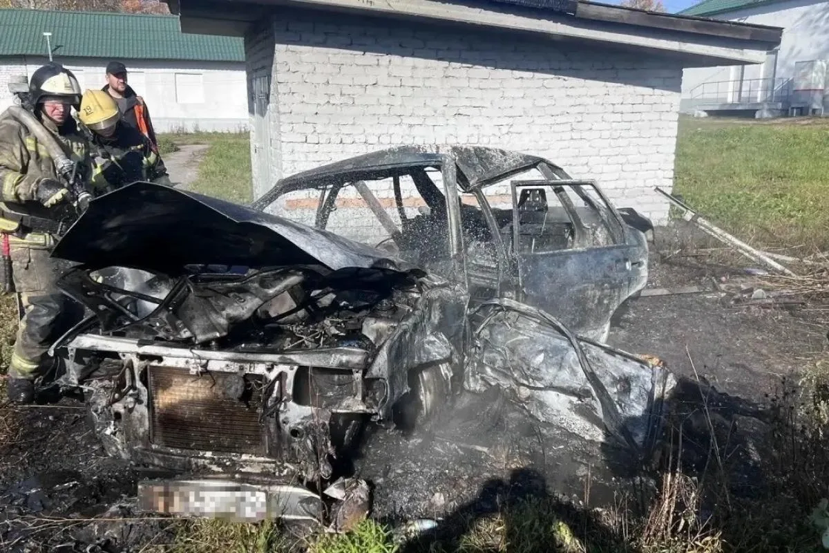 В Рязанской области произошло смертельное ДТП. Об этом сообщили в региональном УМВД.