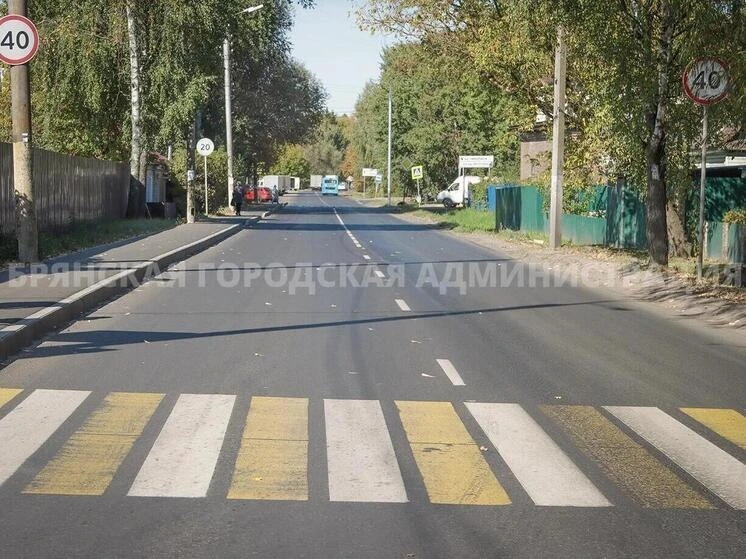 В Брянске с начала года капитально отремонтировали 22 дороги общей протяженностью более...