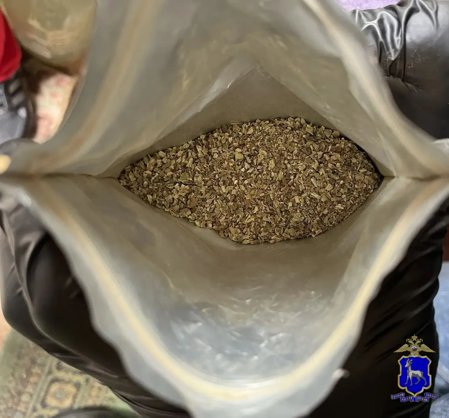🌿 В Приволжском районе в суд направили дело о наркосодержащих растениях