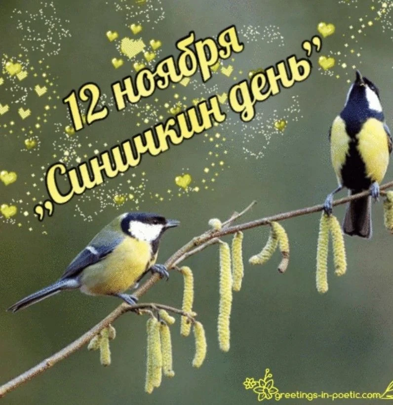 12 ноября в России отмечается Синичкин день -экологический праздник, который наши ребят...