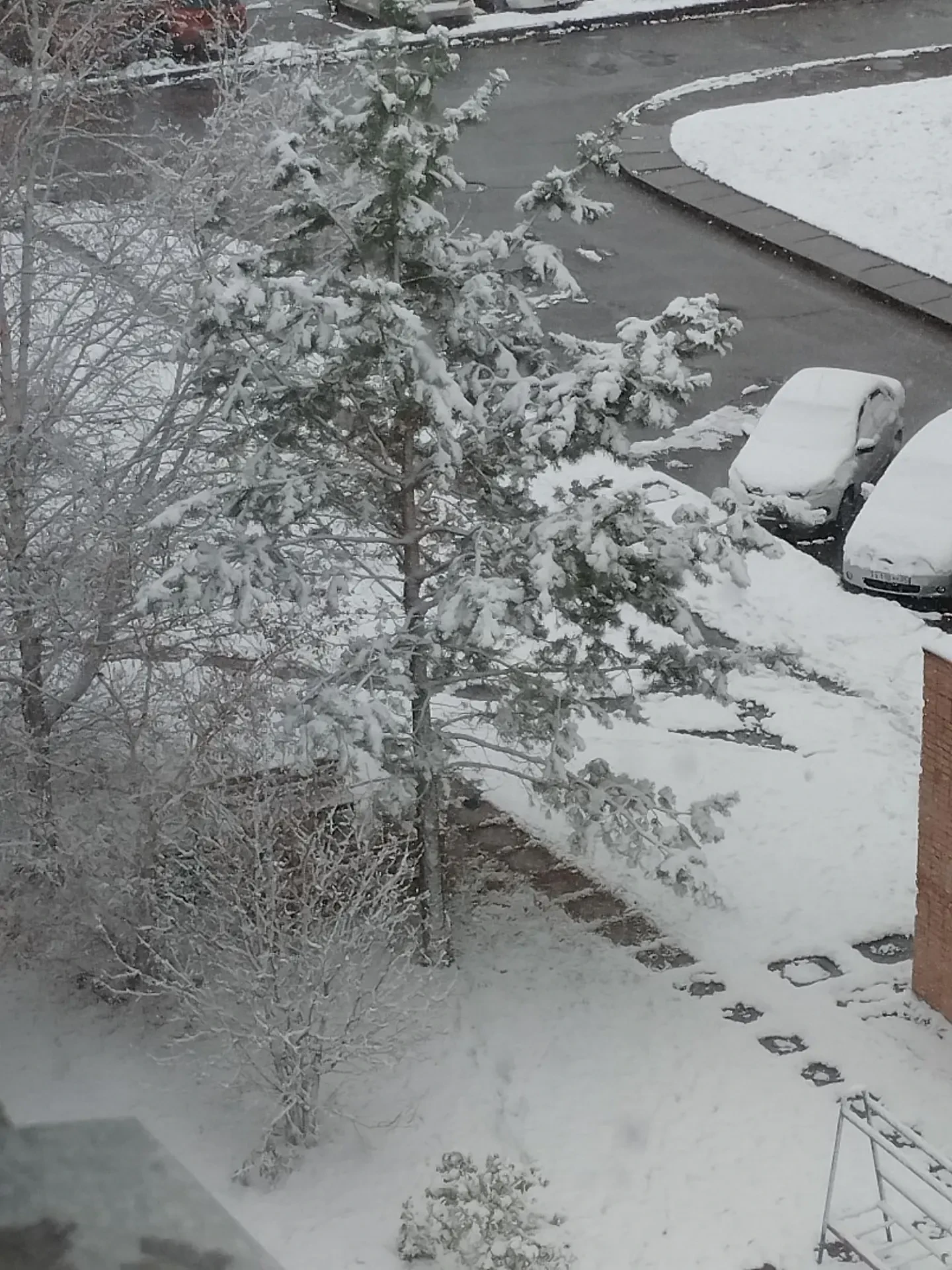 Ой, вот это контраст! ❄️➡️☀️