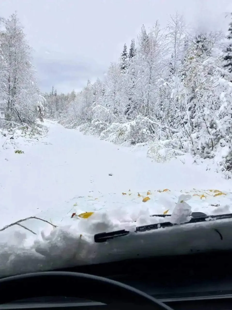 Зимняя сказка стучит в двери Кузбасса