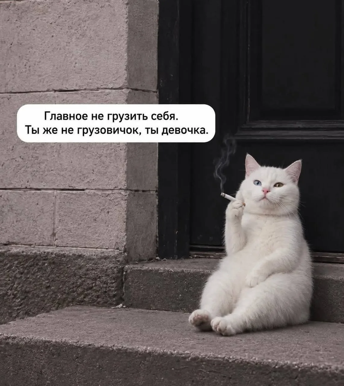 Небольшое напоминание🤍