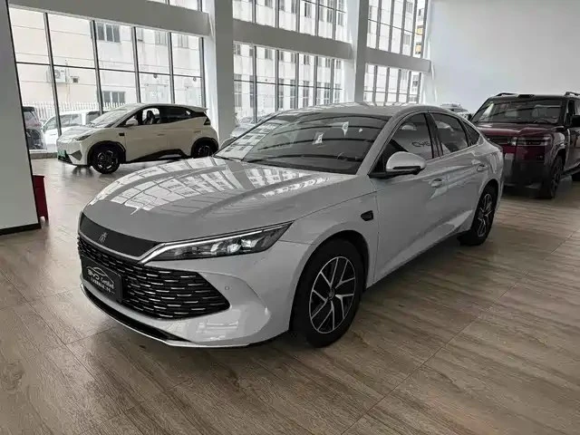 🚗 BYD 2025