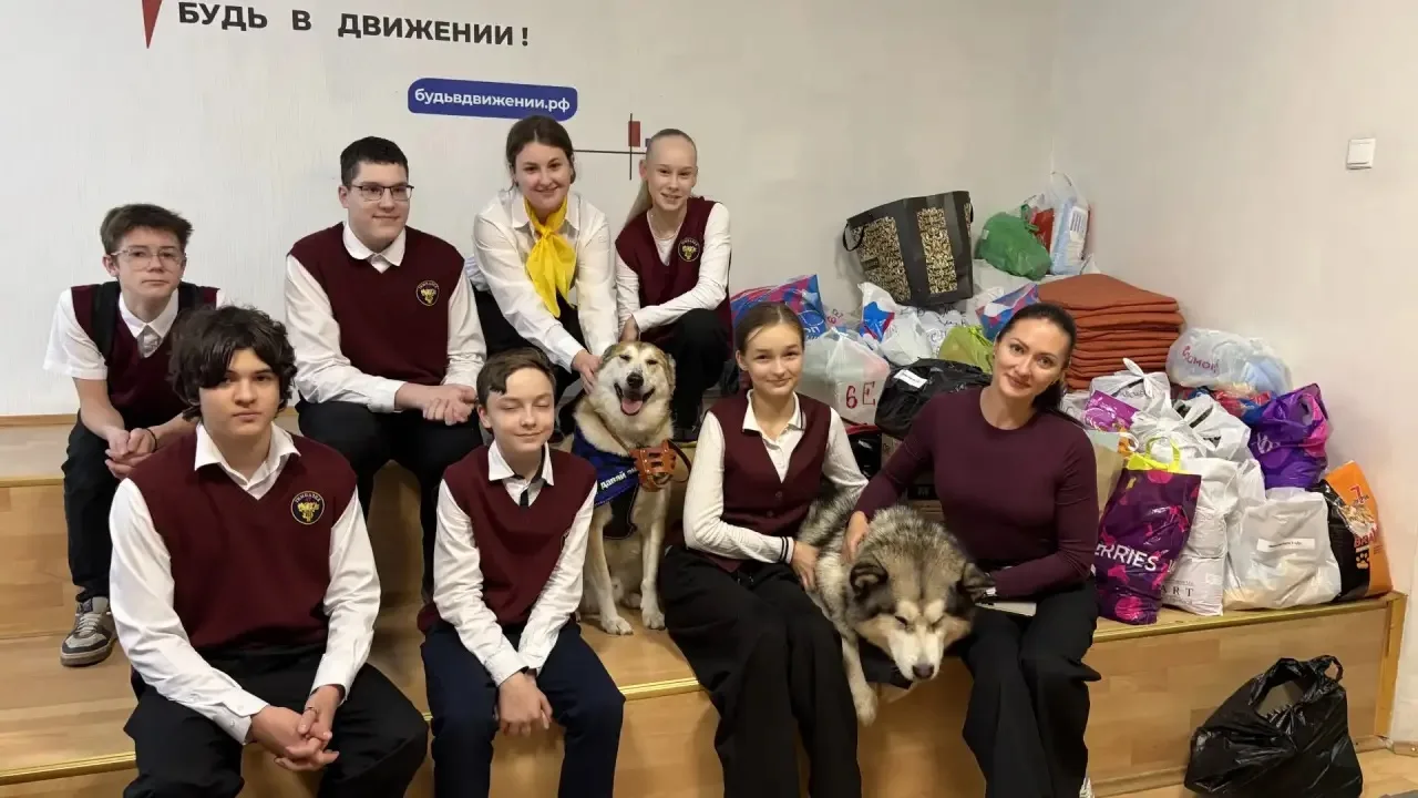 Итоги благотворительной акции «Глаза, которые ждут...» 🐾