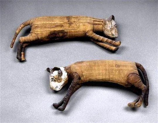Мумифицировaнные кошки, Египeт, 1,200 - 700 г. до н.э.