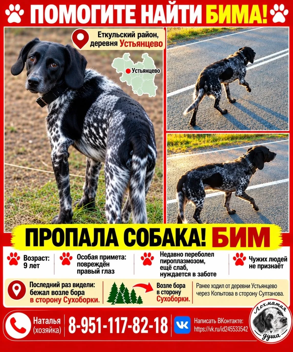 🚨 ПОМОГИТЕ НАЙТИ БИМА! ПРОПАЛА СОБАКА! 🚨