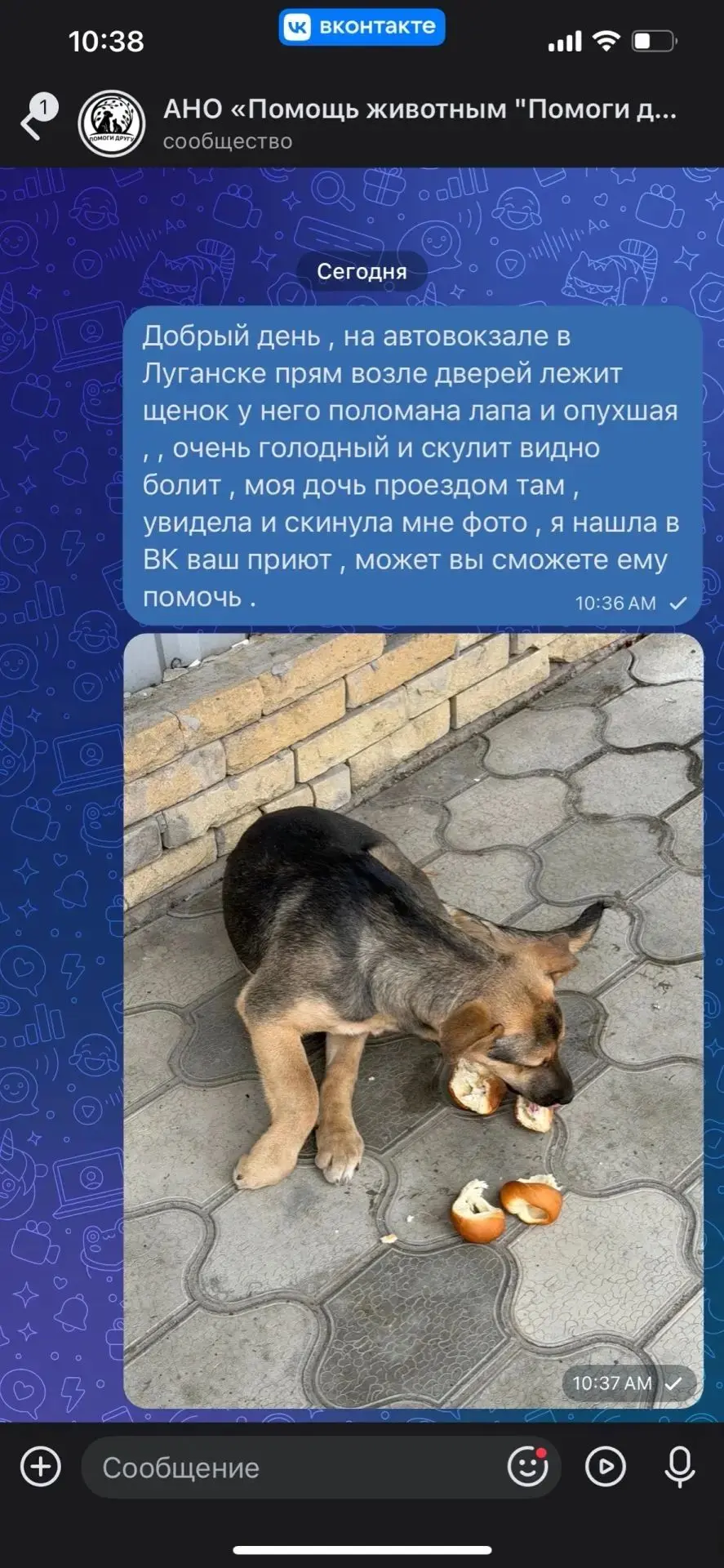 СРОЧНО!!! НУЖНА ПОМОЩЬ ЩЕНКУ ‼‼‼