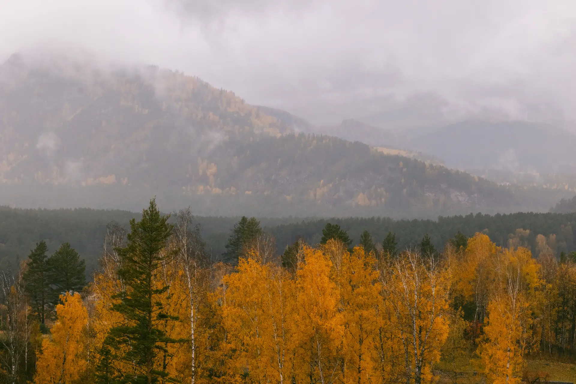 Начните чудесную пятницу с участия в конкурсе «Октябрьфеста»🍁