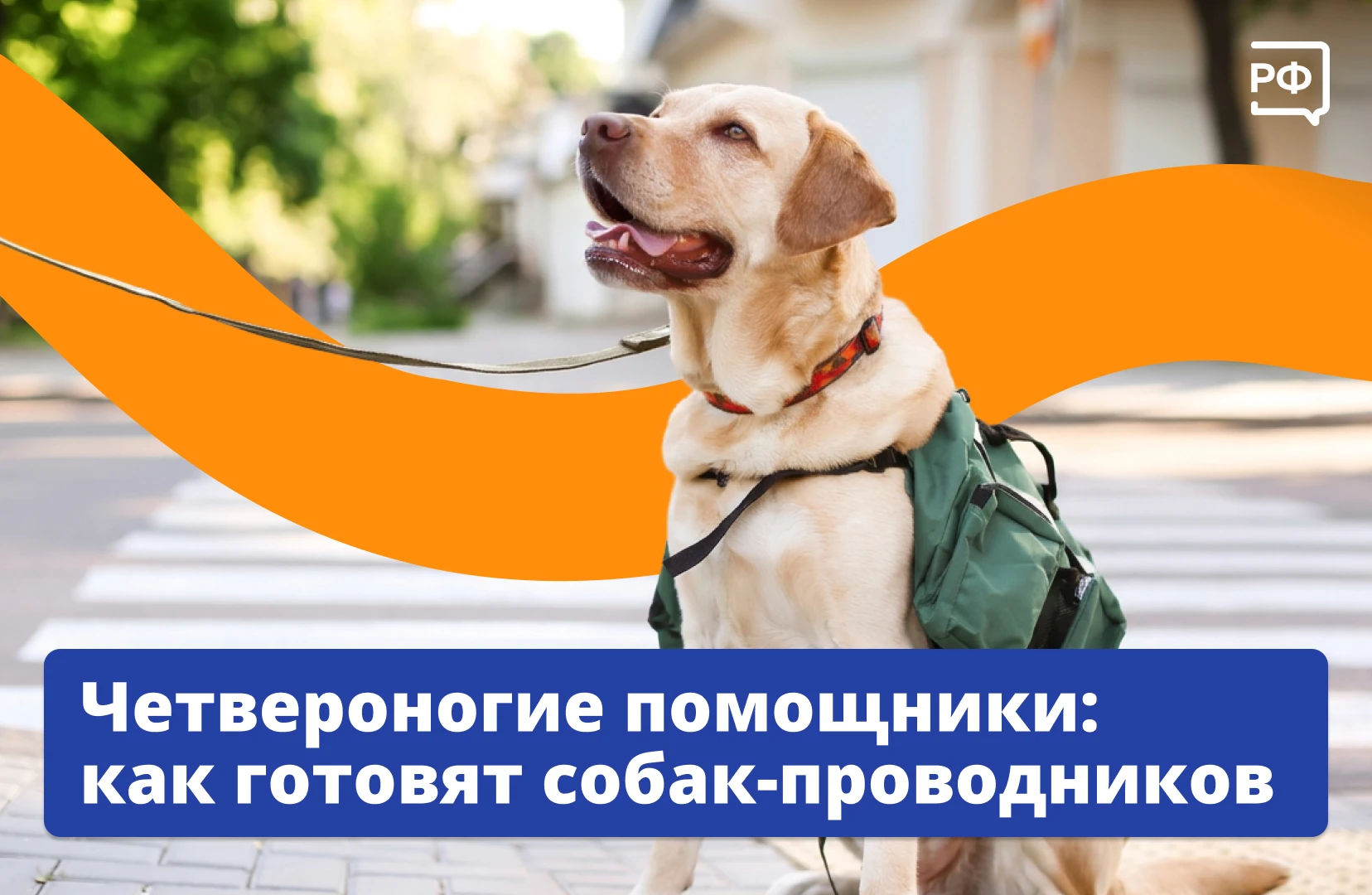 🦮 Помочь незрячему человеку выйти на улицу, обойти препятствие на пути, найти остановк...