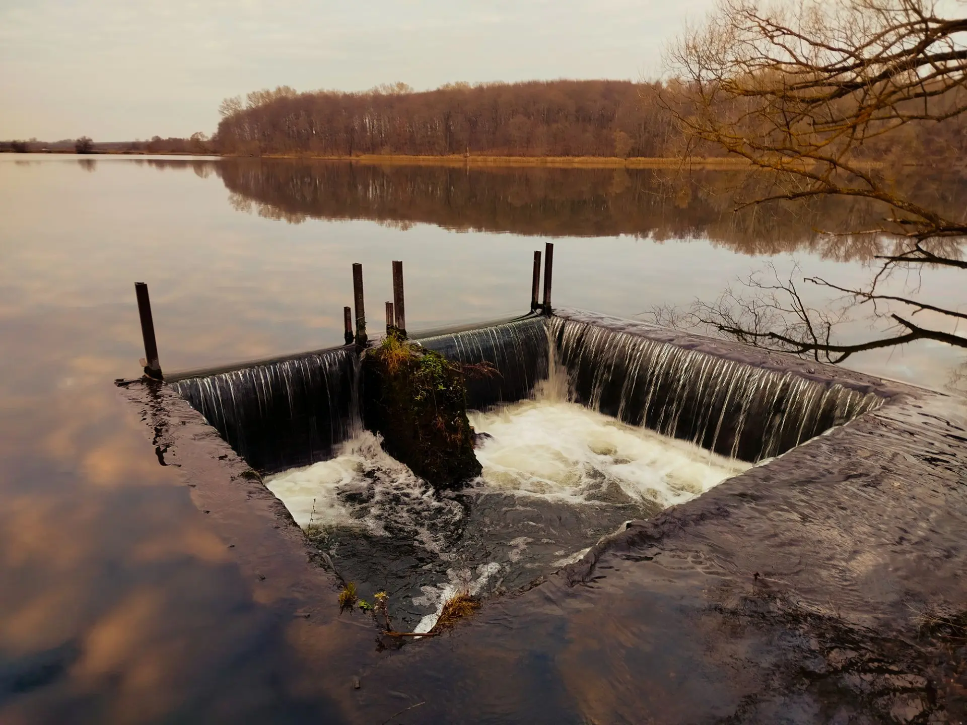 Наш сельский пруд. По сути - небольшое море. Местное. С волнами иногда. С отраженным в ...