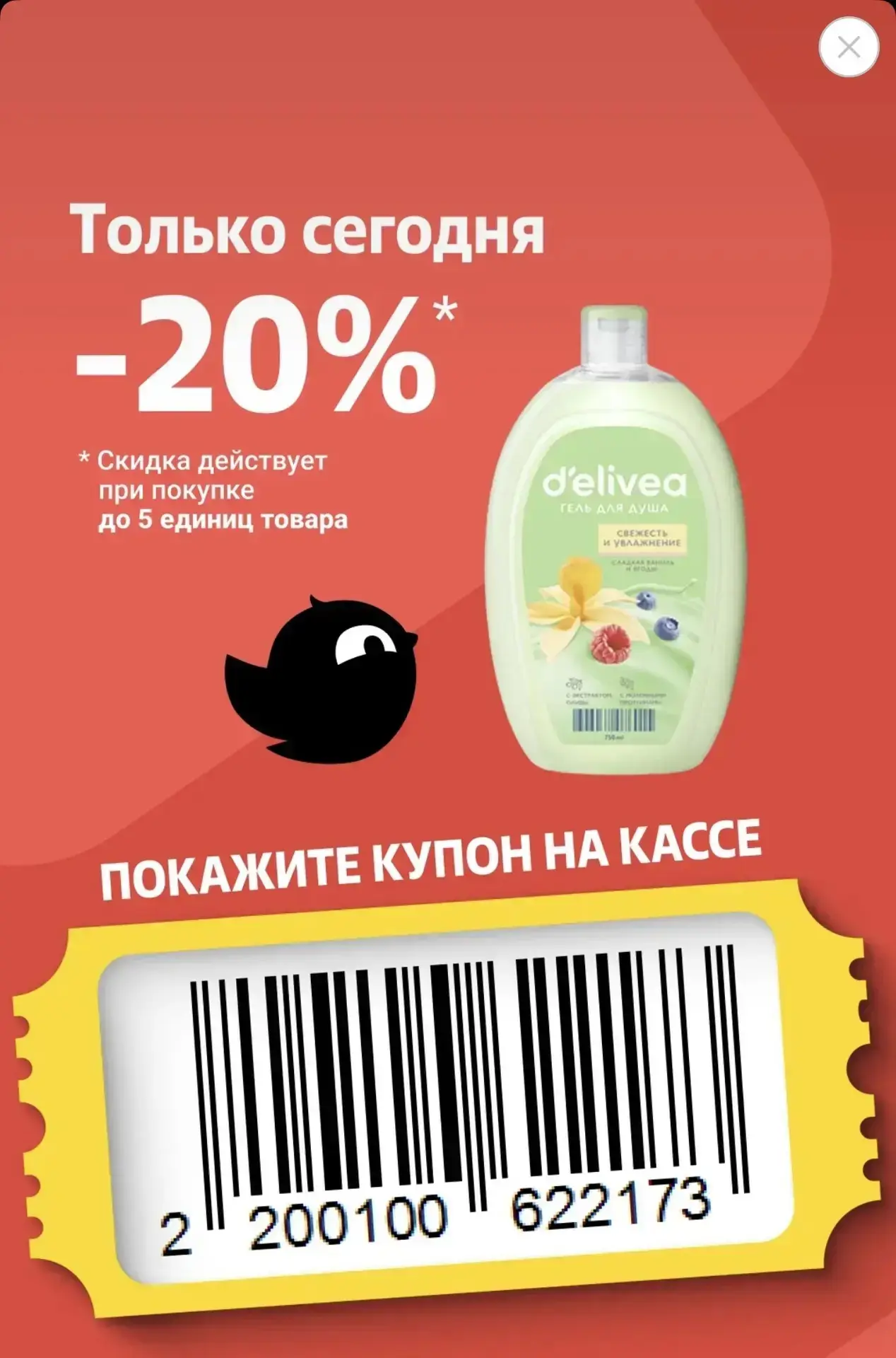Купон в Чижик
