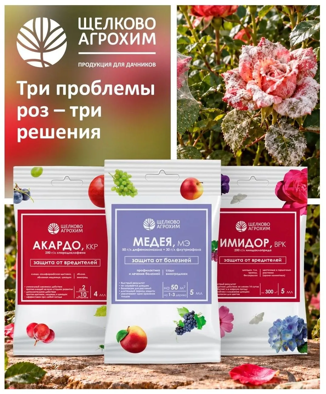 🌹 Красивые розы любят не только садоводы. Паутинный клещ и трипсы тоже не против посел...