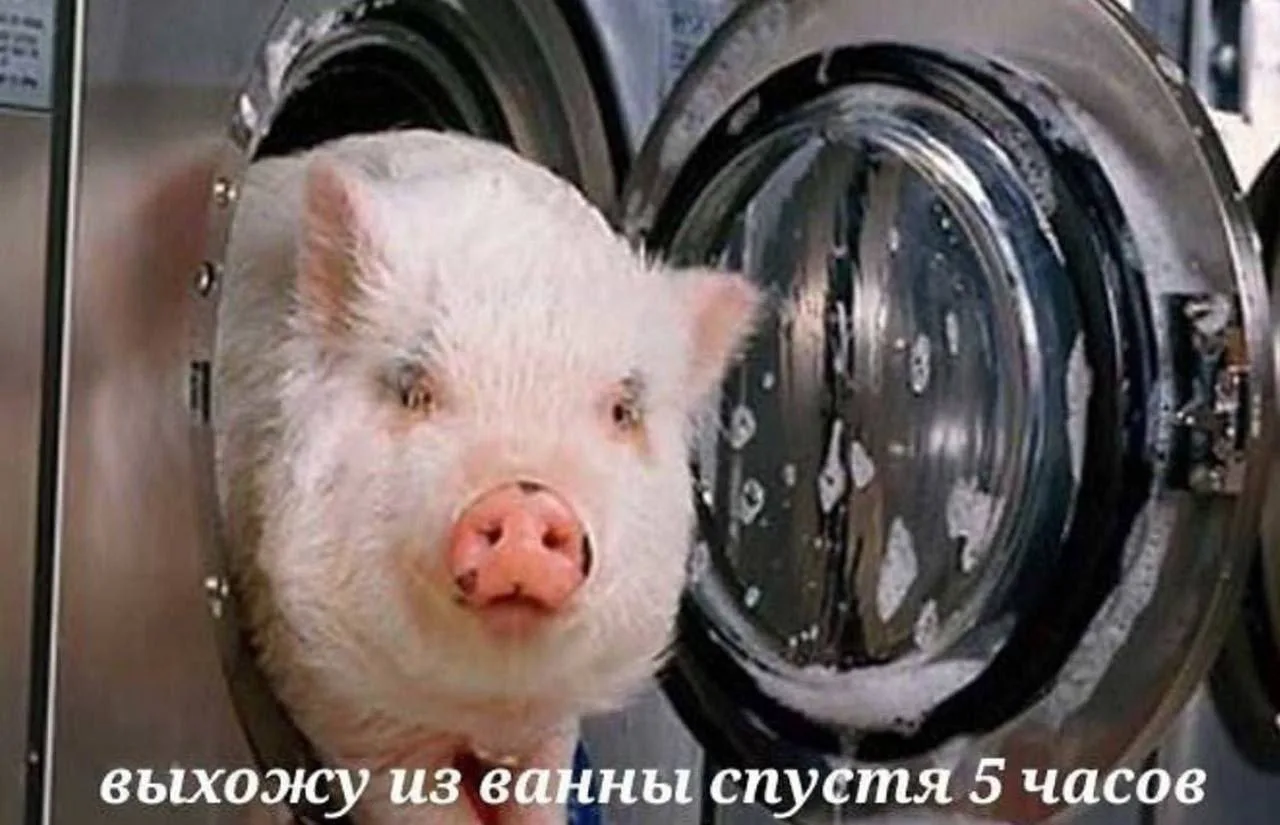 Готовимся к отбою, дгузья)