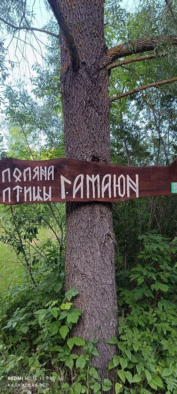 Жители Рождествено создали парк-поляну, посвященный истории Правобережья