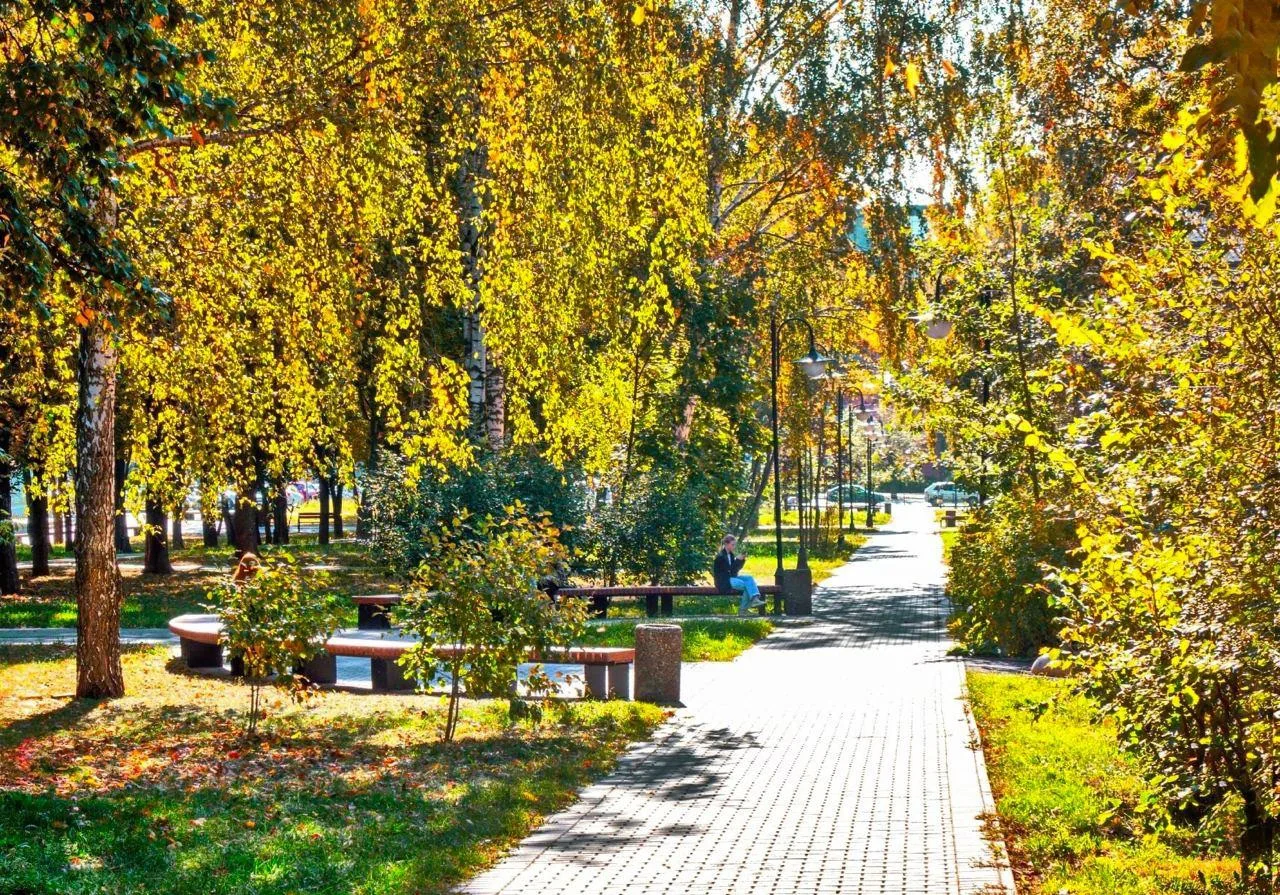 Бульвар Гоголя: пожалуй, самое красивое место для прогулок золотой осенью 🍁
