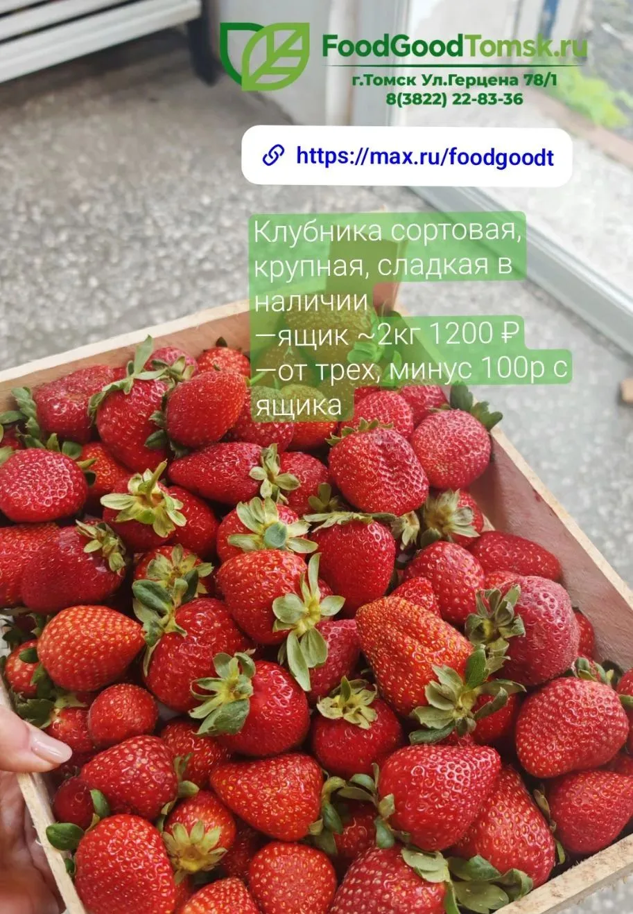 🍓 Получили свежую сортовую ягоду, клубнику альбион — Клубника «Альбион» — сладкая и кр...