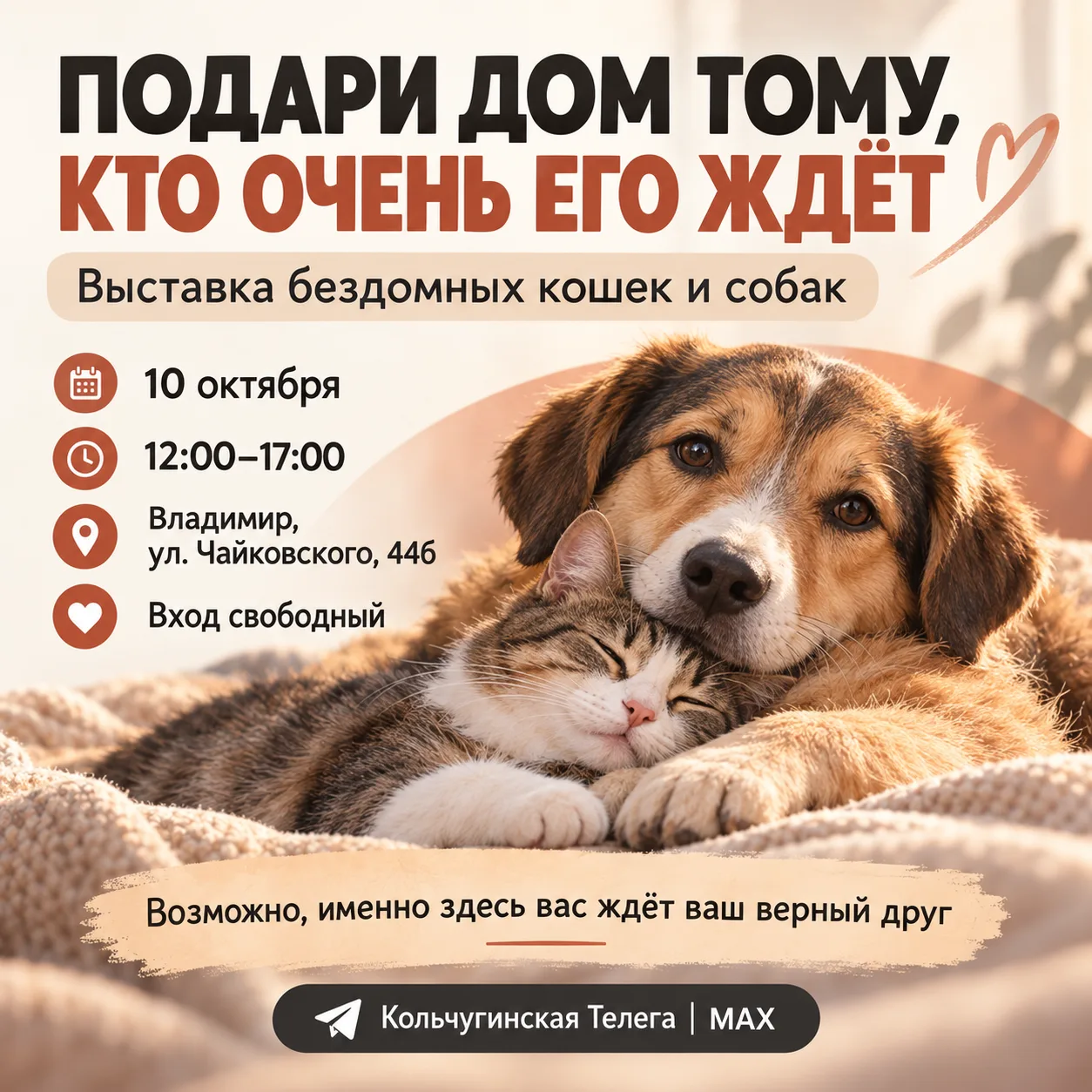 🐾 ПОДАРИ ДОМ ТОМУ, КТО ОЧЕНЬ ЕГО ЖДЁТ! ❤️