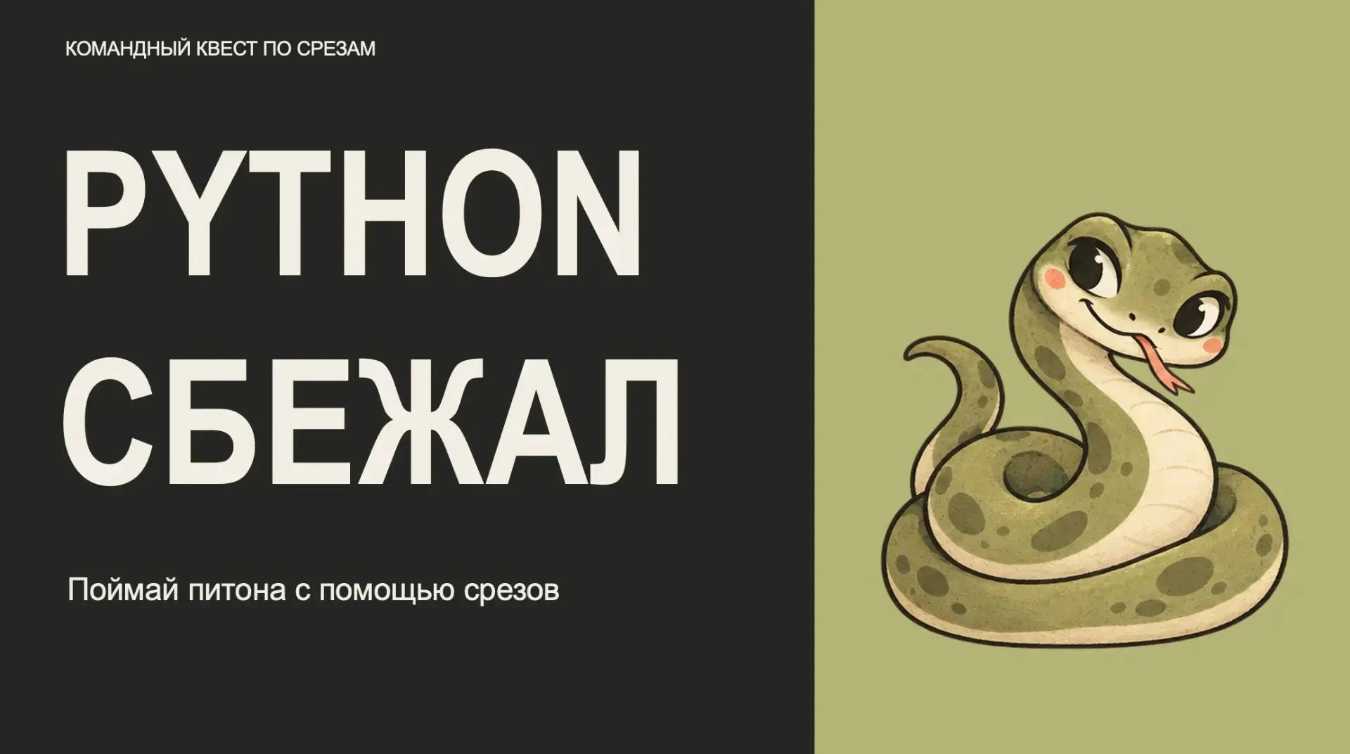 🐍 Питон сбежал! Никто не видел?