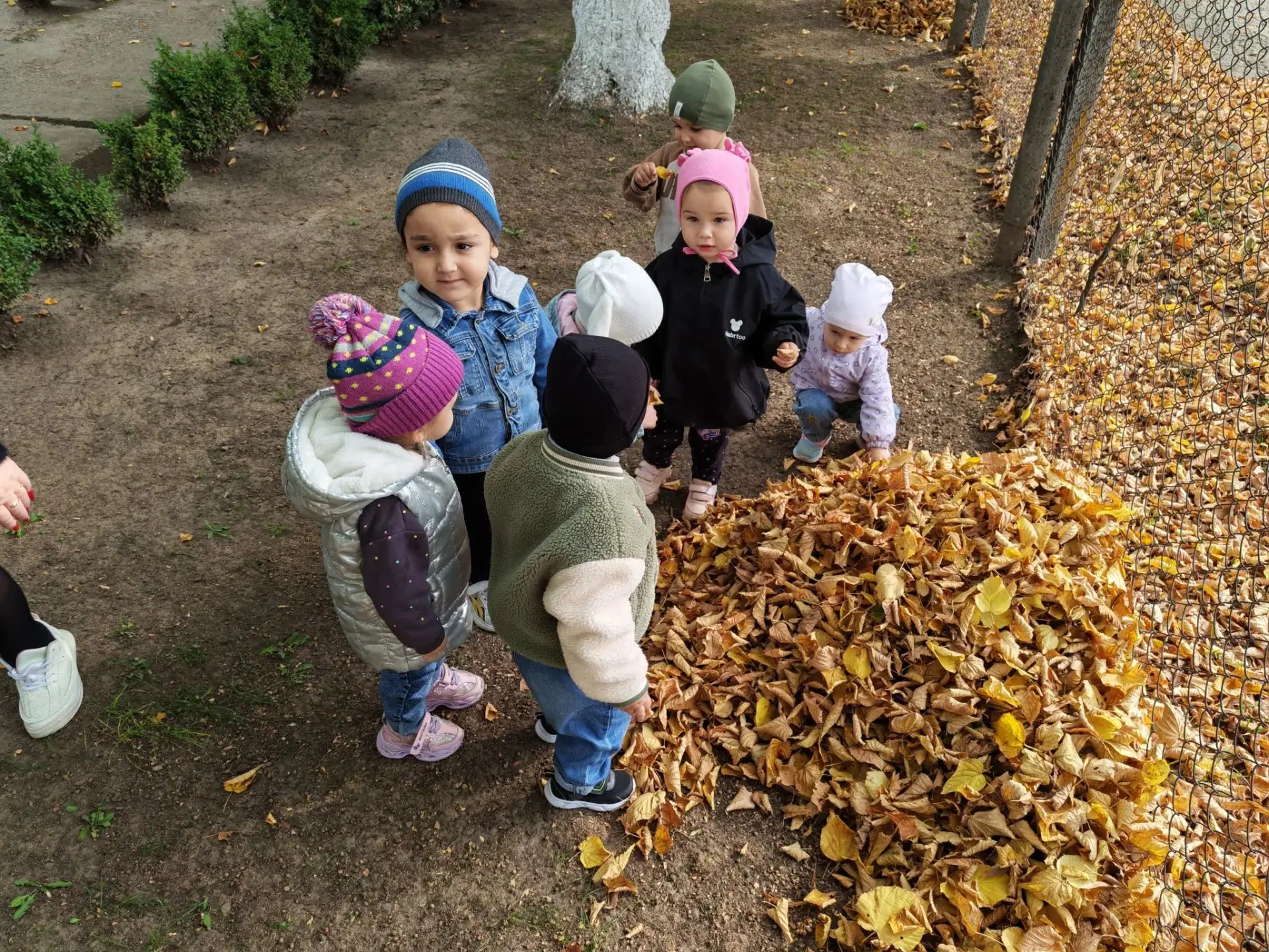 🍂 Прогулка в группе «Рябинка»: знакомимся с трудом дворника и секретами осени! 🍁