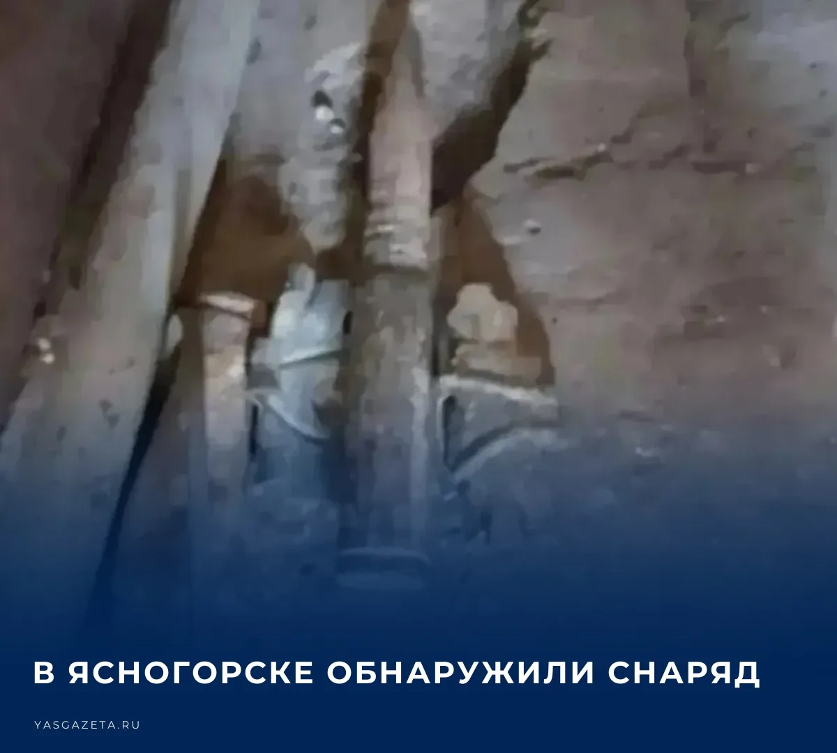 ‼️ В минувшее воскресенье в Ясногорске на Заводской улице, рядом с домом № 8, обнаружил...