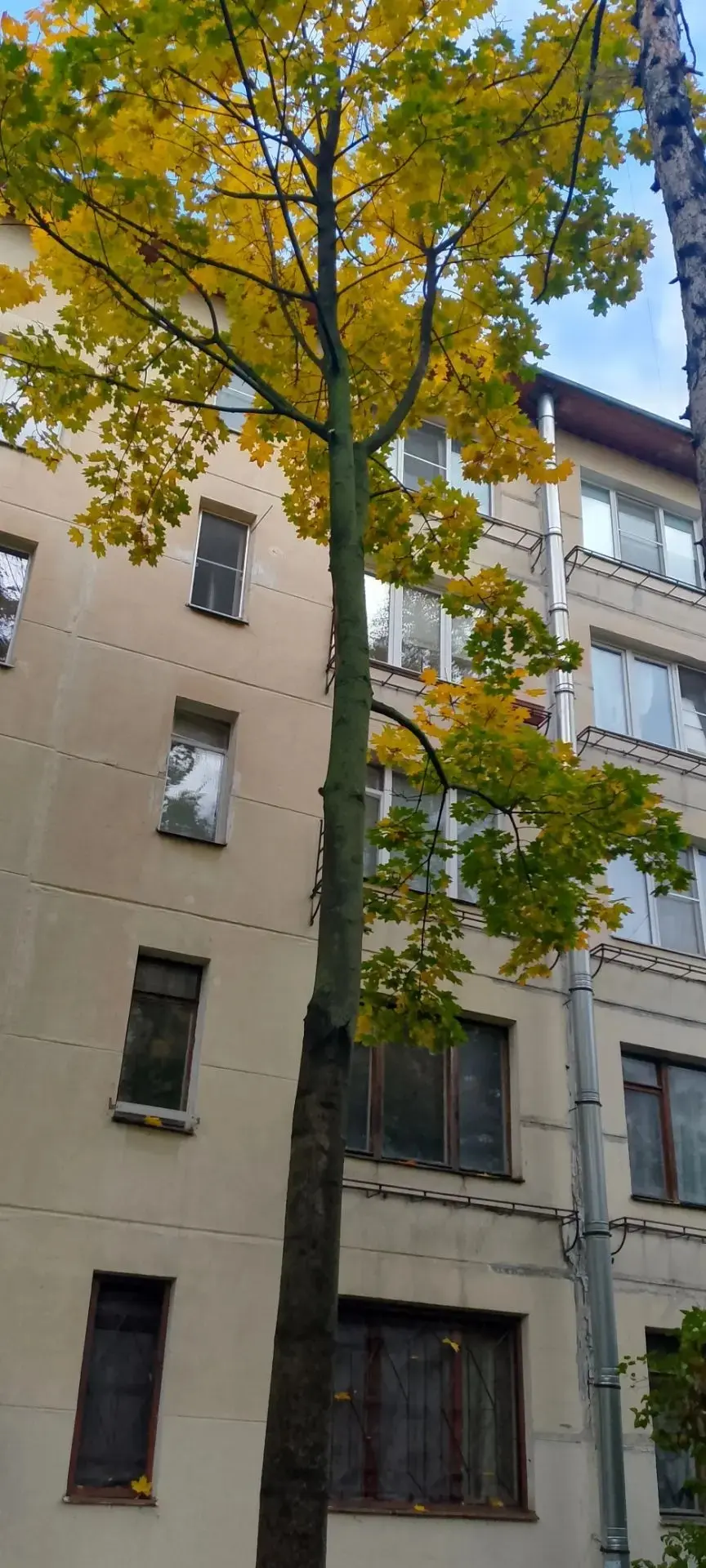 #благоустройство